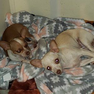 Meet your Posher, Xavier